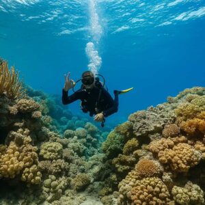 Boracay Dive Safari