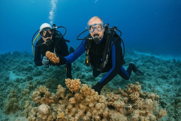 Boracay Fun Dive Package (2Days)
