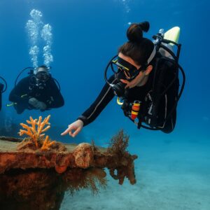 PADI Divemaster Course