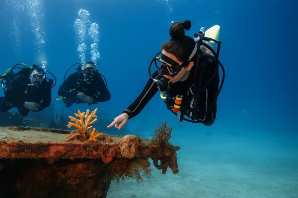 PADI Divemaster Course