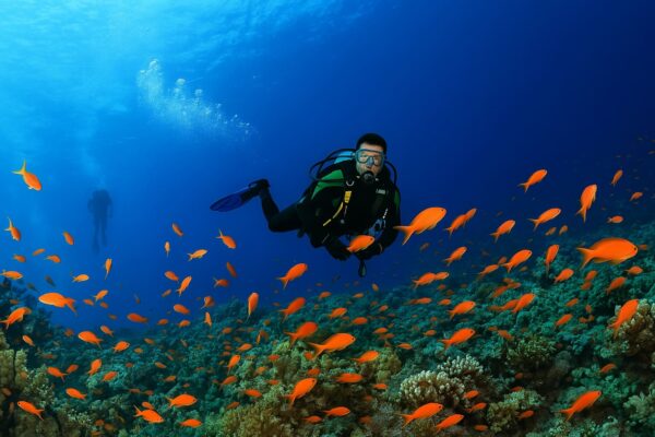 PADI Scuba Diver Course